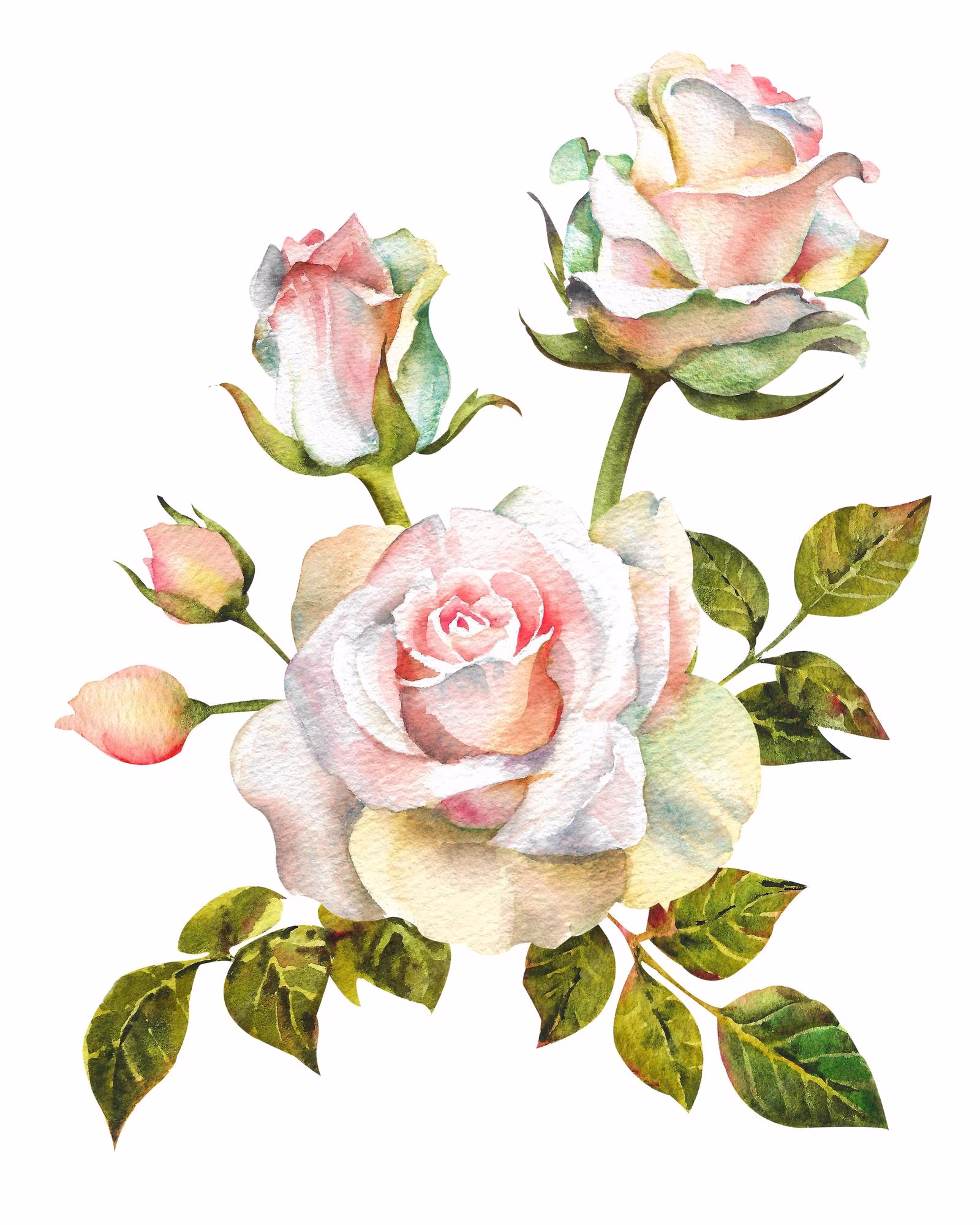 Your Image